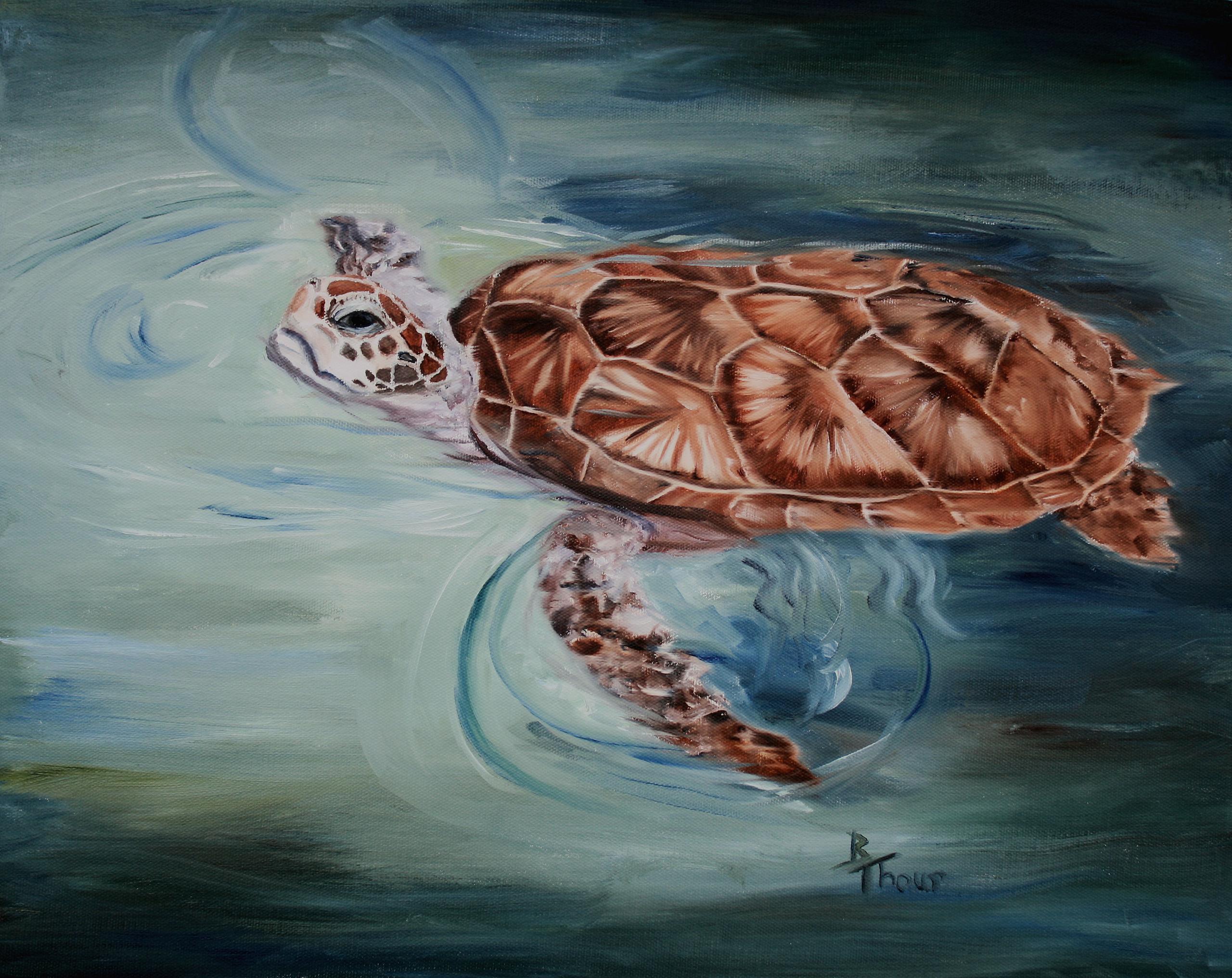 Возможность изображения картинки на экране холста turtle